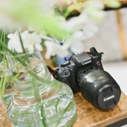 The Forest of Loldの写真25枚目