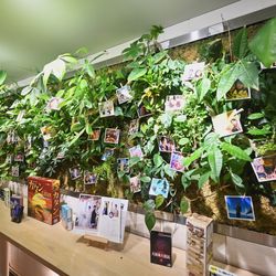 The Forest of Loldの写真12枚目