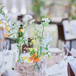 The Forest of Loldの写真14枚目