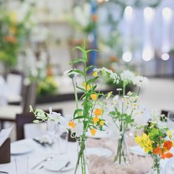 The Forest of Loldの写真6枚目