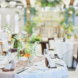 The Forest of Loldの写真31枚目