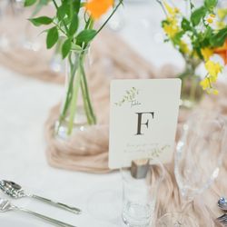 The Forest of Loldの写真19枚目