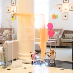 アルモニーアンブラッセ イットハウスの写真25枚目