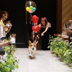 アルモニーアンブラッセ イットハウスの写真15枚目