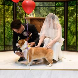 アルモニーアンブラッセ イットハウスの写真5枚目