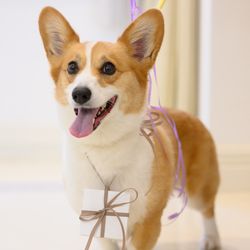 アルモニーアンブラッセ イットハウスの写真2枚目