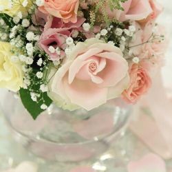 アーククラブ迎賓館 新潟の写真26枚目