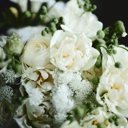 キンプトン新宿東京の写真3枚目