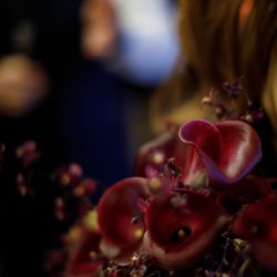 SOLA KOBEの写真14枚目