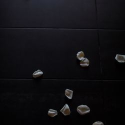 SOLA KOBEの写真27枚目