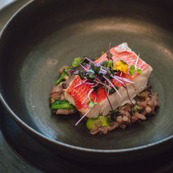 アンダーズ東京の写真25枚目