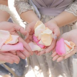 アニヴェルセル みなとみらい横浜の写真10枚目