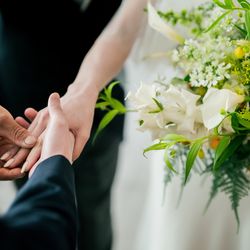 エネコ東京の写真24枚目