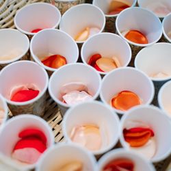 パルスファイブの写真4枚目