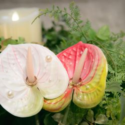 パルスファイブの写真36枚目