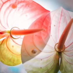 パルスファイブの写真5枚目