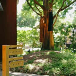 鶴見ノ森 迎賓館の写真34枚目