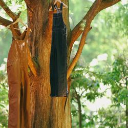 鶴見ノ森 迎賓館の写真15枚目