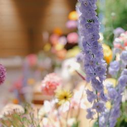 鶴見ノ森 迎賓館の写真10枚目