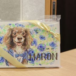 ララシャンスガーデン 東京ベイの写真8枚目