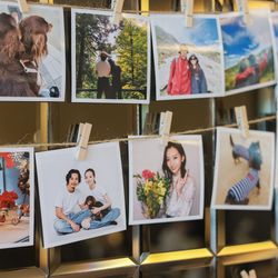 ララシャンスガーデン 東京ベイの写真3枚目