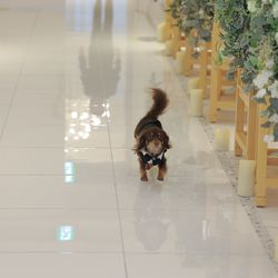 ララシャンスガーデン 東京ベイの写真31枚目