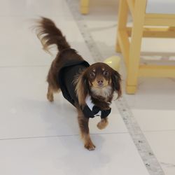 ララシャンスガーデン 東京ベイの写真28枚目