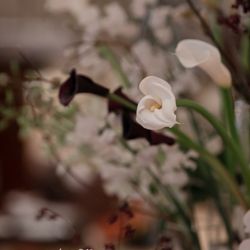 ラ・フェット ひらまつの写真36枚目