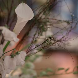 ラ・フェット ひらまつの写真4枚目