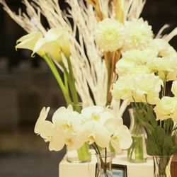 ララシャンス 博多の森の写真12枚目