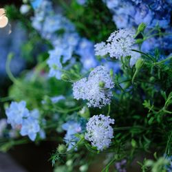 パレスホテル東京の写真21枚目