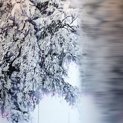 パレスホテル東京の写真13枚目