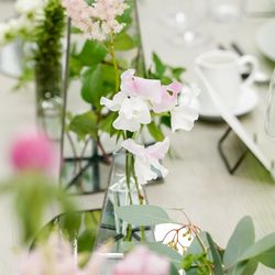 TRUNK HOTELの写真1枚目