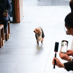 TRUNK HOTELの写真24枚目