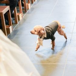 TRUNK HOTELの写真18枚目