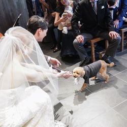 TRUNK HOTELの写真9枚目