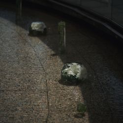 グランドニッコー東京 台場の写真11枚目