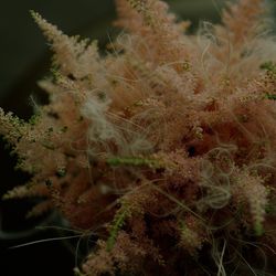 パレスホテル東京の写真6枚目