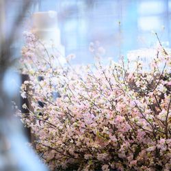 パレスホテル東京の写真35枚目