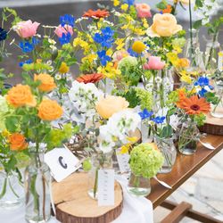 ミエルクローチェの写真3枚目