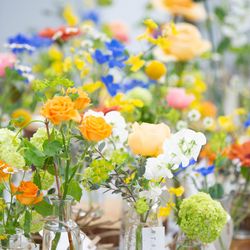 ミエルクローチェの写真29枚目