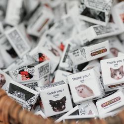 鶴見ノ森 迎賓館の写真12枚目