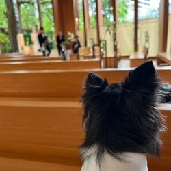 鶴見ノ森 迎賓館の写真10枚目