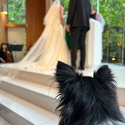 鶴見ノ森 迎賓館の写真33枚目