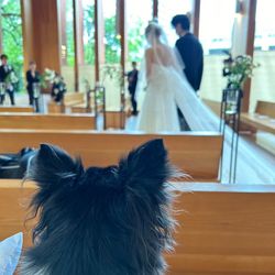 鶴見ノ森 迎賓館の写真15枚目