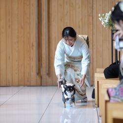 鶴見ノ森 迎賓館の写真13枚目
