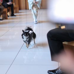 鶴見ノ森 迎賓館の写真35枚目