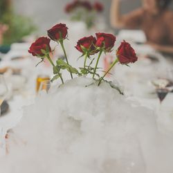 エネコ東京の写真31枚目