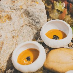 エネコ東京の写真36枚目