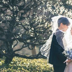 八芳園の写真22枚目